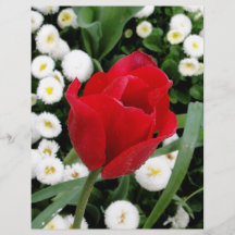 Rosy Red Tulip Custom Flyer
