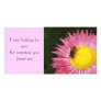 Rosy Sunray and Hoverfly Photo Card