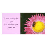 Rosy Sunray and Hoverfly Photo Card photo cards
