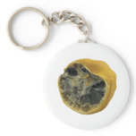 Rotten lemon keychains
