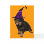 Rotten Witch cards