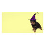 Rotten Witch