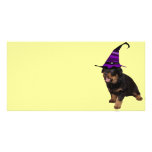 Rotten Witch photo cards