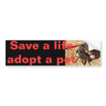 Rotti Mix Bumper Sticker bumper stickers