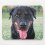 Rottie Mouse Pad mousepads