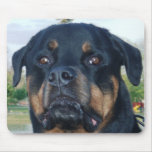 Rottie Mousepad