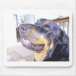 Rottie Mouse Pads