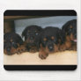 rottie pups mouse mat