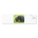Rottweiler and Puppy bumper stickers