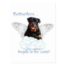 Rottweiler Angel Post Card