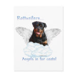 Rottweiler Angel postcards