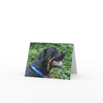 Rottweiler  "Apollo" Greeting Card