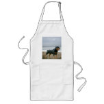Rottweiler Apron Beach