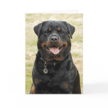 Rottweiler Birthday Card