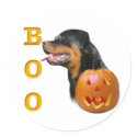 Rottweiler Boo stickers