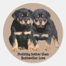 Rottweiler Buddies Sticker