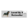 Rottweiler Bumper Sticker