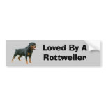 Rottweiler Bumper Sticker bumper stickers