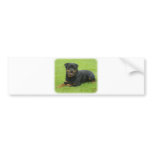 Rottweiler bumper stickers