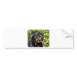 Rottweiler bumper stickers