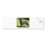 Rottweiler bumper stickers