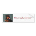 Rottweiler bumper sticker bumper stickers