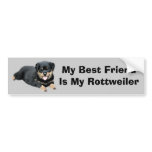 Rottweiler Bumper Sticker bumper stickers