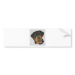 Rottweiler Bumper Sticker