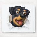 Rottweiler Busting Out mousepads