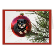 Rottweiler Christmas Card Ball Hanging