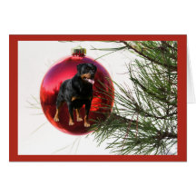 Rottweiler Christmas Card Ball Hanging