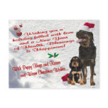 Rottweiler Christmas Snow Scene Postcard