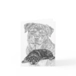 Rottweiler Dog Drawing by Kelli Swan cards