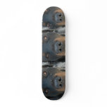 Rottweiler Dog Skateboard