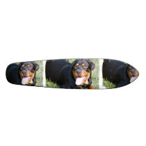 Rottweiler Dog Skateboard