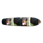 Rottweiler Dog Skateboard