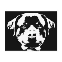 Rottweiler Gifts - Postcard