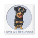 Rottweiler Granddog magnets