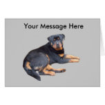 Rottweiler Greeting Card