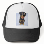 Rottweiler hats