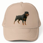 Rottweiler Hat