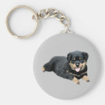 Rottweiler Keychain