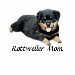 Rottweiler Ladies T-Shirt