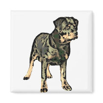 Rottweiler magnet