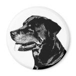 Rottweiler magnet