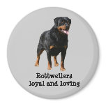 Rottweiler Magnet
