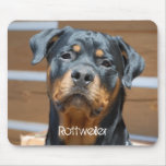 Rottweiler Mouse Pad mousepads