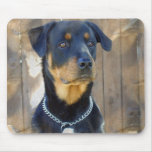 Rottweiler Mouse Pad mousepads