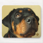 Rottweiler mousepads