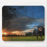 rottweiler mouse mats